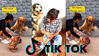 Dog Begs Owner Not To Kill His Puppy:Tiktok Youtube Compilations 🥺🥺🥺
