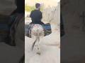 من معذرت میخوام ای ویدیو رو ببینید توضیح تو کپشن ولاگ روستا سفر Vlog Travel Villagelife من معذرت میخوام ای ویدیو رو ببینید توضیح تو کپشن ولاگ روستا سفر Vlog Travel Villagelife