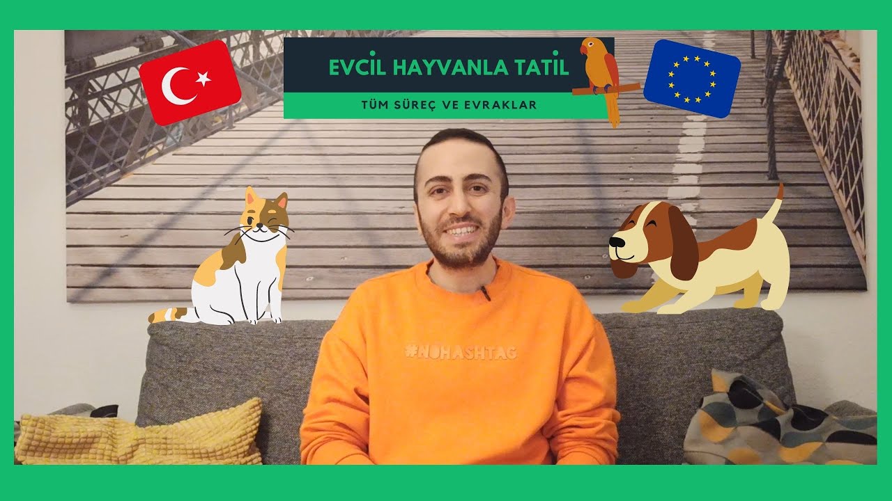 Yurt Disindan Turkiye Ye Evcil Hayvan Getirmek Avrupa Evcil Hayvan Pasaportu Youtube