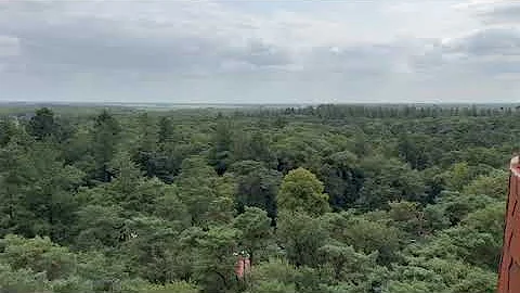 Bosbergtoren in Appelscha (2)