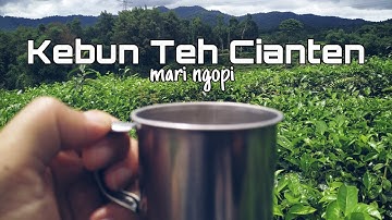 Bisa Tembus Sukabumi !! KEBUN TEH CIANTEN
