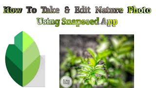How To Take And Edit Nature Picture With Snapseed App Using Smartphone screenshot 2