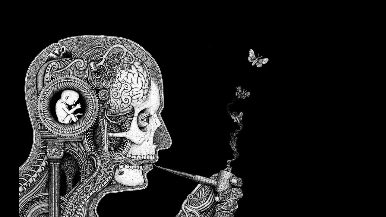 LIFE STORIES | the haunted weed trek | first upload hype