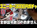 【スニーカーガチャ】目玉商品全部出すまでやめません!スニーカー大量GOT'EM‼︎おたちゅう新潟新発田店