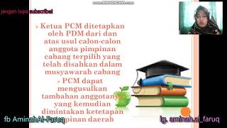 Materi struktur organisasi di Muhammadiyah lanjutan horizontal dan vertikal