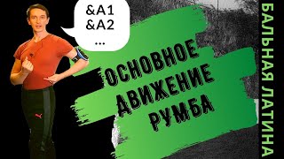видео: Бэзик #Румба/ Основное движение/ Кубинское действие/Латиноамериканские Бальные танцы / Латина/ Танец картинка: Бэзик #Румба/ Основное движение/ Кубинское действие/Латиноамериканские Бальные танцы / Латина/ Танец