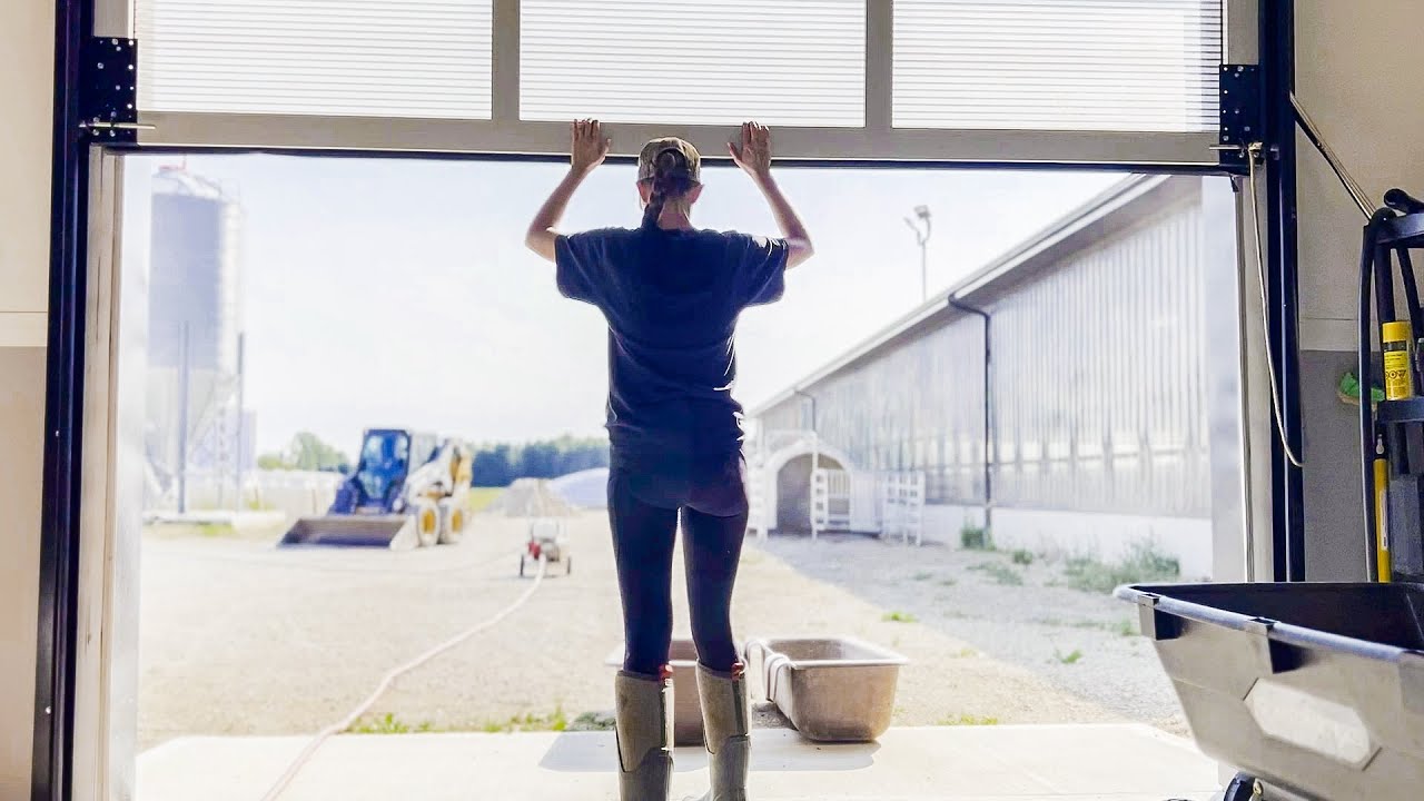 Вечерние работы на молочной ферме в Онтарио (60 коров)