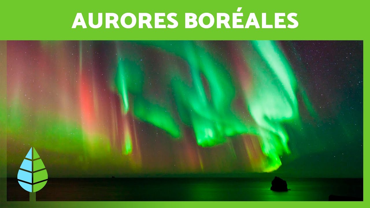 Comment se forment les AURORES BORÉALES ? 🌌 - YouTube