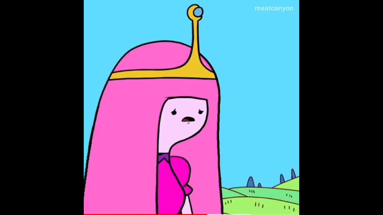 Finn in MultiVersus - credit meatcanyon 