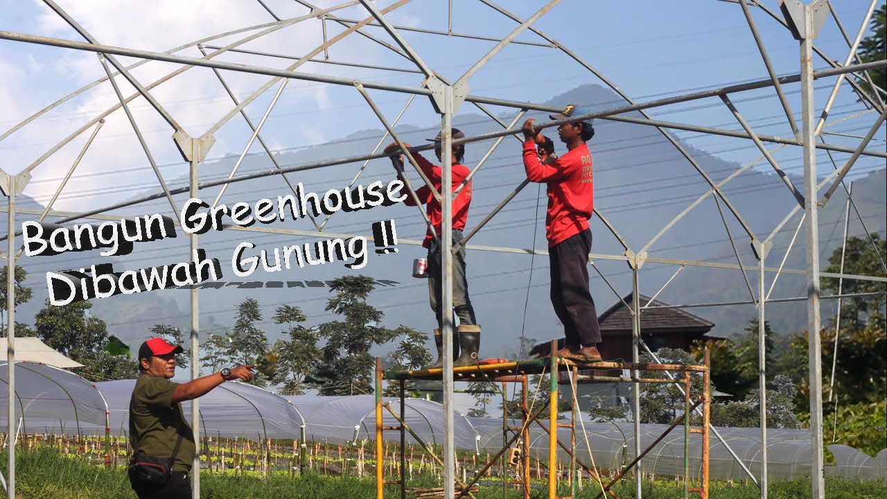 Agrifam Hidroponik | Agrifam Pembuat Greenhouse | Bangun Greenhouse Dibawah Gunung - Eps 01