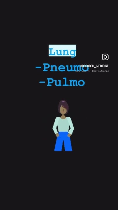 What Are The Medical Terms Of The Chest And Its Internal Organs what-are-the-medical-terms-of-the-chest-and-its-internal-organs