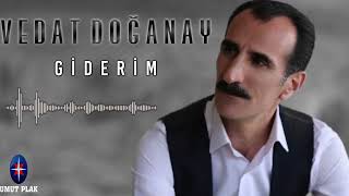 vedat doğanay \