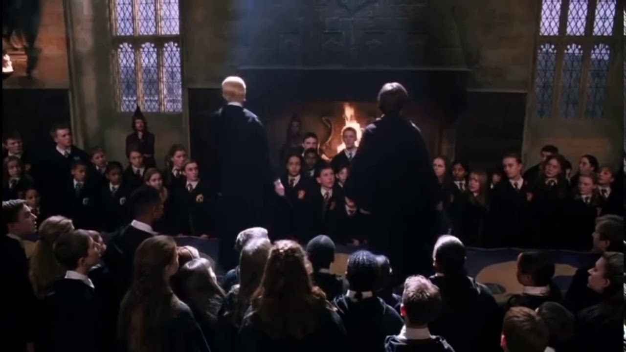 Harry and Draco The chamber of secrets YouTube