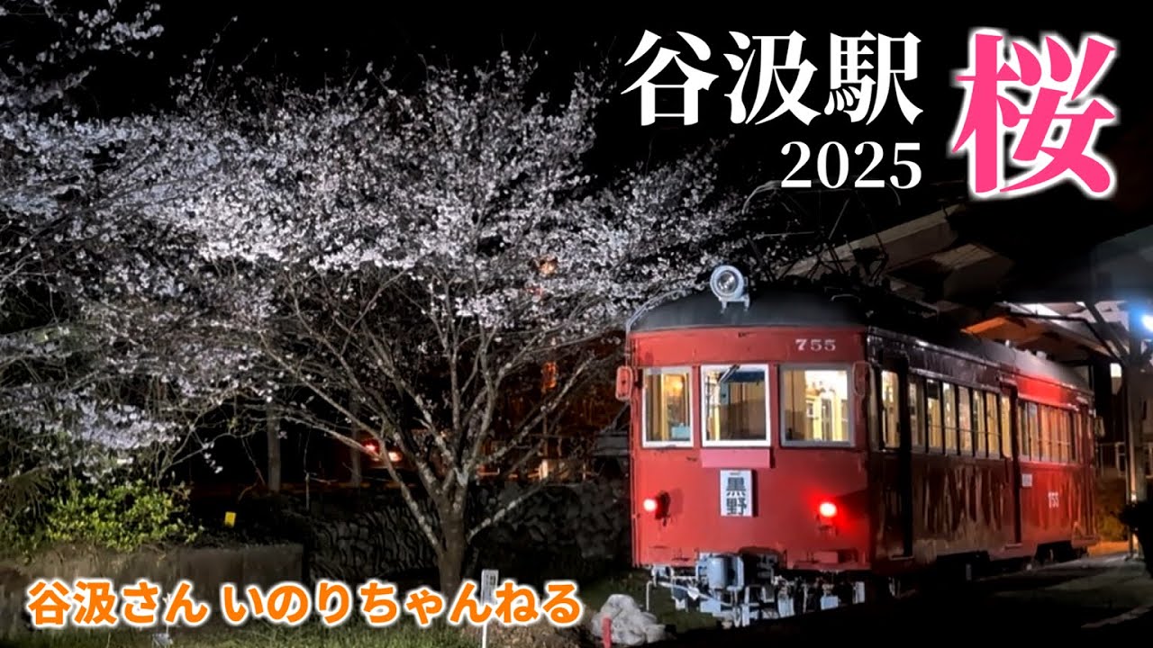 谷汲駅、桜 2025【にわてつ公式】 - YouTube