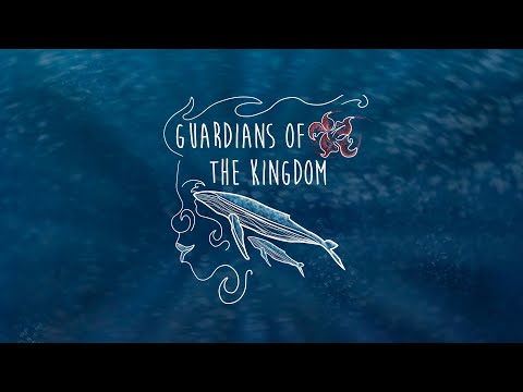 Guardians of the Kingdom VR