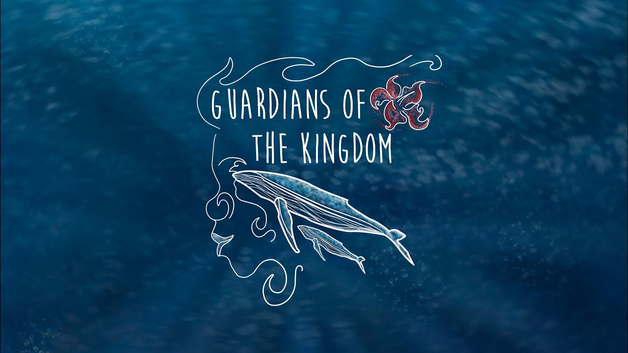 Guardians of the Kingdom VR - YouTube