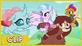 Los alumnos faltan a la clase de Rainbow Dash  MLP: La Magia de la Amistad [Español Latino]