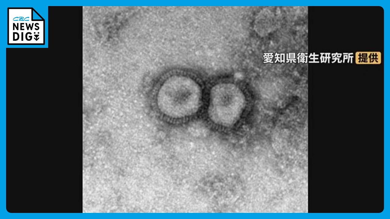 Aichi Prefecture Issues Influenza Advisory: Tied for Earliest on