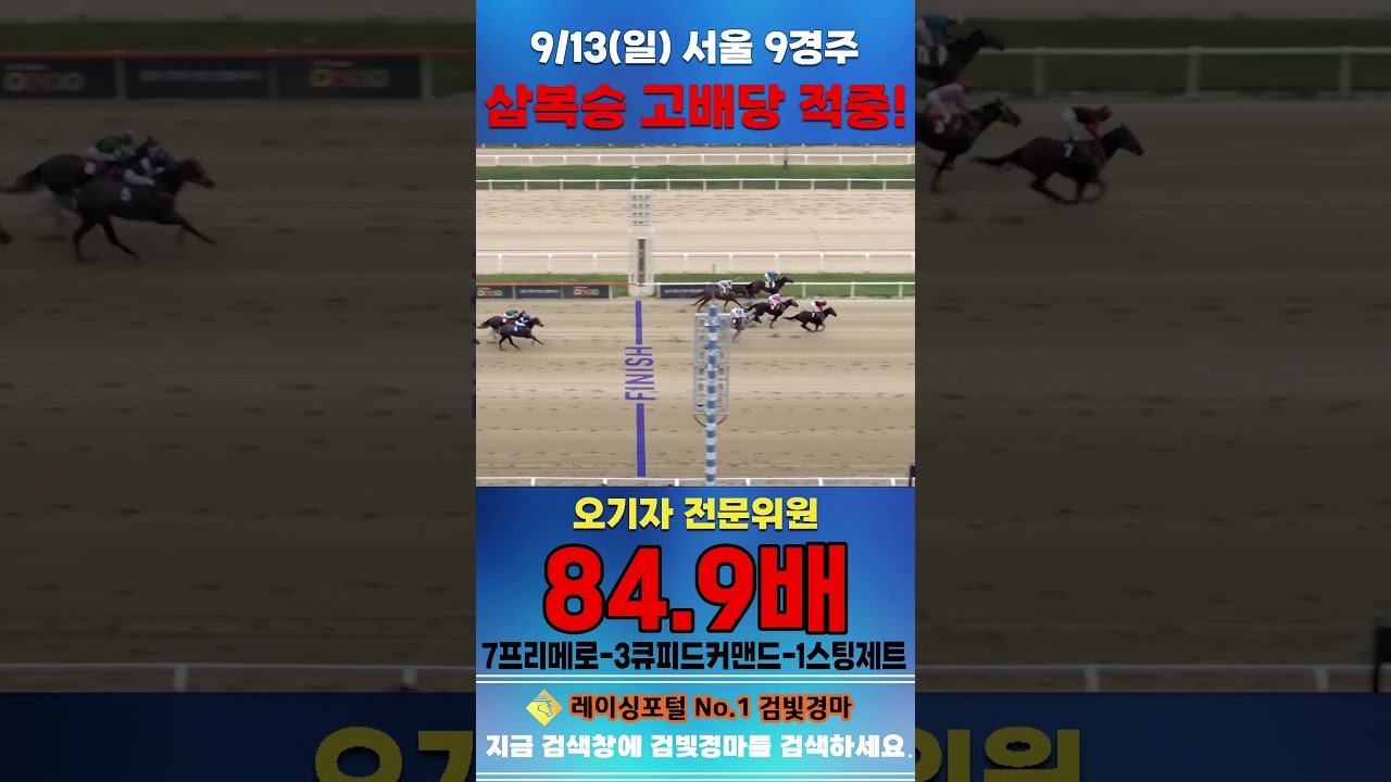[서울 경마] 9월 13일 일요 9경주 오기자 전문위원 삼복승 고배당 적중 #한국마사회 #automobile #경마 #horse #하이라이트 #korean #비트코인 #뉴스 #주식