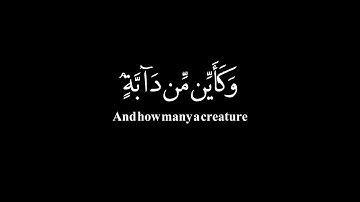 الذين صبروا وعلي ربهم يتوكلون | كروما شاشه سوداء | عبدالرحمن مسعد | سورة العنكبوت | كرومات قرآن