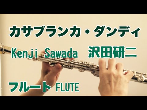 カサブランカ・ダンディ/沢田研二【フルートで演奏してみた】Casablanca Dandy /Kenji Sawada  昭和歌謡