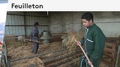 Dans les coulisses du lycée agricole de Fondettes en Indre-et-Loire (Épisode 02/04)