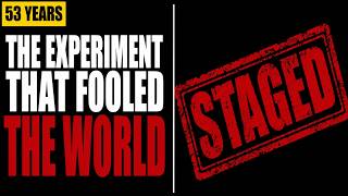 The Experiment That Convinced The World Humans Are Evil — Was Staged