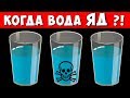 96% людей Пьют воду Не правильно! Не делайте Эти ошибки