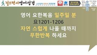 걸으면서영어성경,요한복음1201 1206,일주일분,영한자막,CC,반복,하가다,하브루타,성경암송,주님임재,평안,기쁨,두뇌개발,창의력,기억력,영어공부,영어회화,구간반복,쉐도잉,덩따반