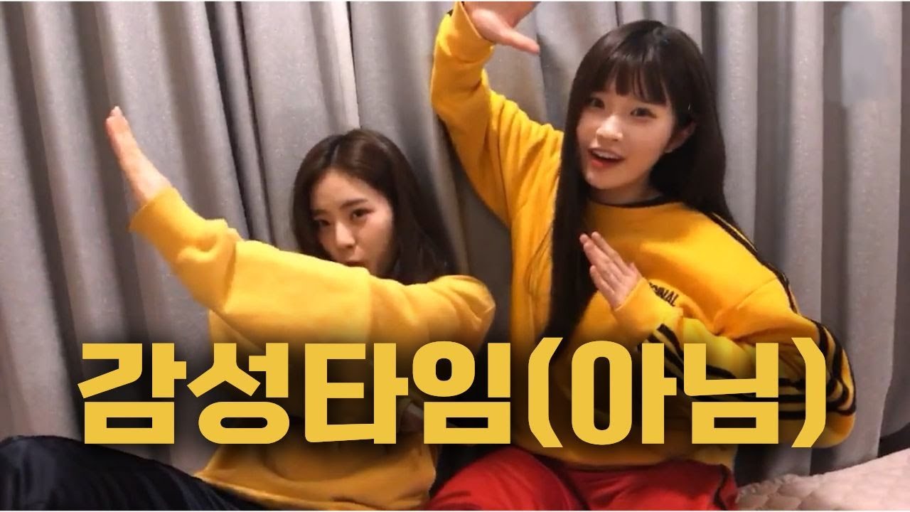 노랑즈의 감성타임🎼 압축본