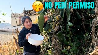 Mi comida favorita que nunca me cansaré de comer y perfecta en esta temporada