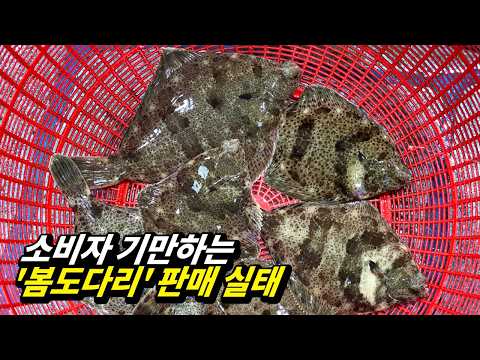 모르면 무조건 당합니다! 여러분이 드신 도다리가 가짜인 이유