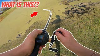 FISHING a SKETCHY algae INFESTED pond!