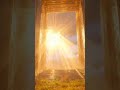 Daily image of Heaven. Day 281 #christian #heaven #inspiration #jesus #faith