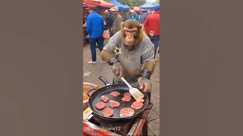 Monkey Chef: The Mastermind Behind Chicken Tikka/#shorts #monkey #food #aishorts