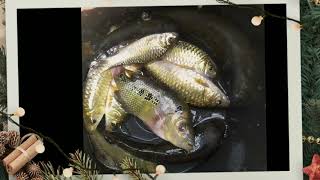 Alhamdulilla Ngemot Croooot Enjoy