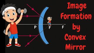 Image Formation by Convex Mirror | Rules, Ray Diagrams & Cases Explained #imageformation #mirror