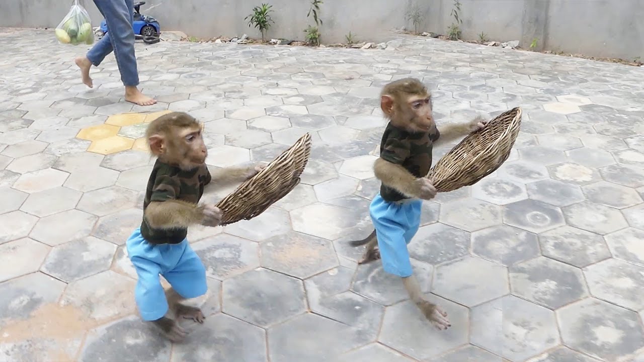 Donal Carry Handcraft Basket Run To Relaxing Hut For Get Snack
