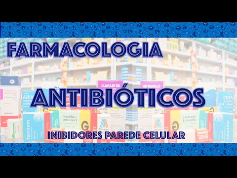 Vídeo: Remoção De Antibióticos Profiláticos Da Ração Para Suínos: Como Isso Afeta Seu Desempenho E Saúde?