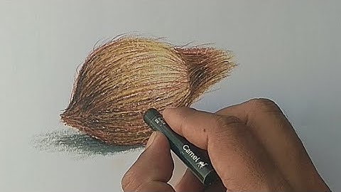 Coconut drawing in oil pastel/coconut drawing and colouring/ how to colour coconut/elementry/नारळ