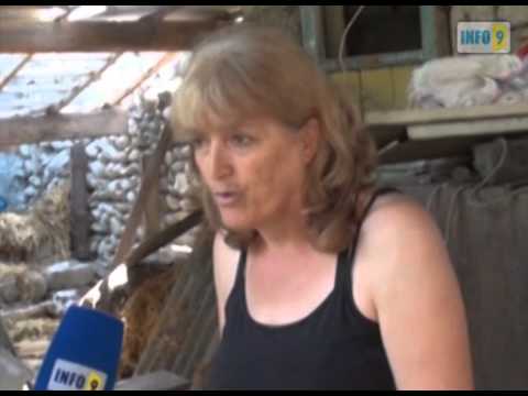 სტიქიით დაზარალებულები