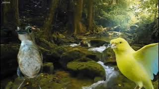 Download lagu LANGSUNG NYAUT dan NGAMUK dengan pancingan Jongkangan vs kenari YANG BONGKAR ISIAN ini