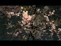 ASMR Rain Highlights Japan Evening Walk 2026.04.01 Ambience Sound Sleep Meditate Relax Peace Tokyo