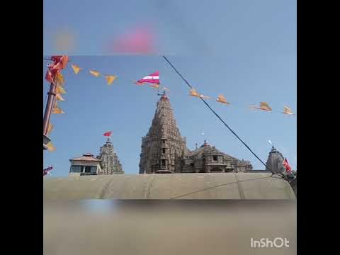mathura dwarkadhees temple holi celebration