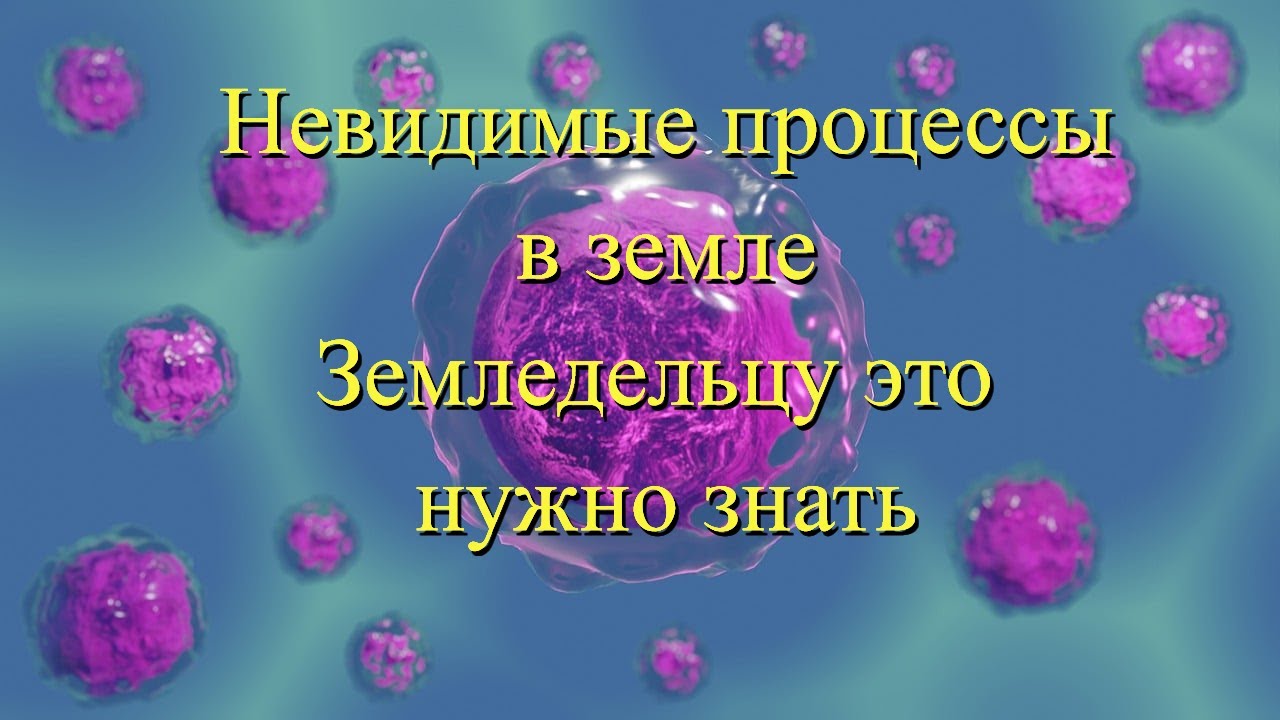 Часть 3/Чем именно питаются растения - YouTube