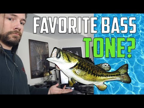 What's Your Favorite BASS Tone?!?! | Ask a Music Snob #3