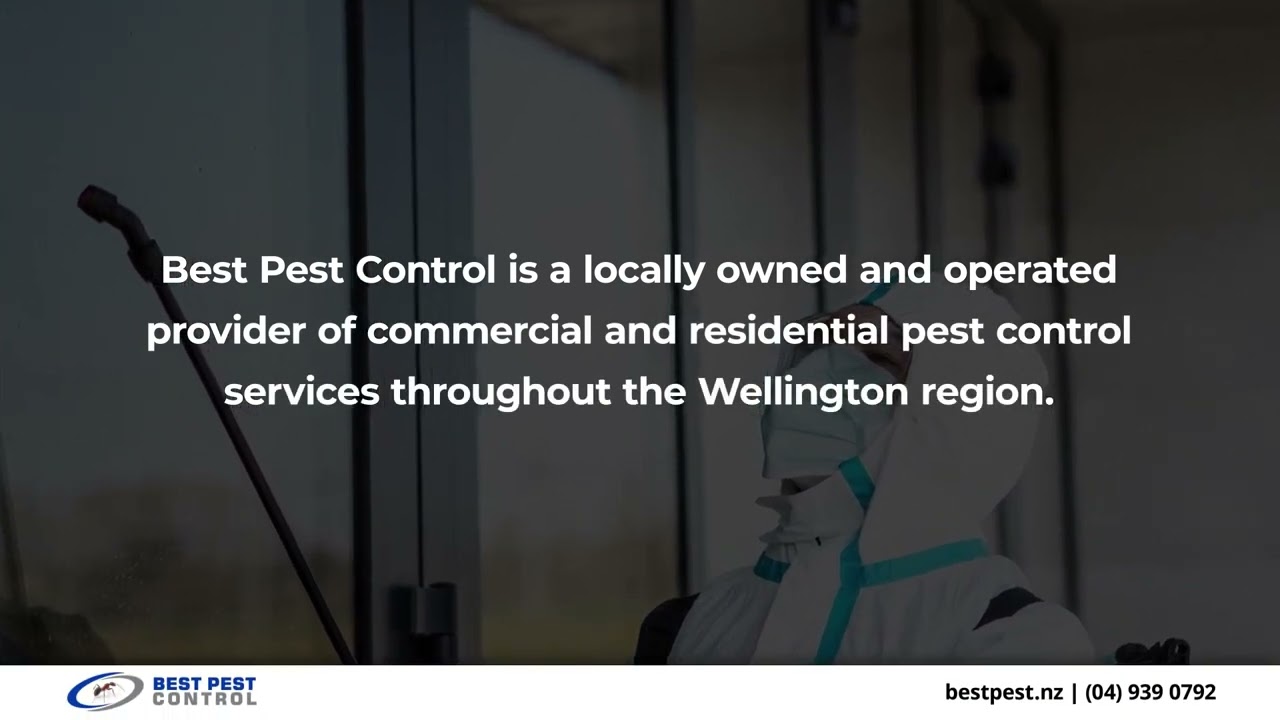 Best Pest Control Limited Stokes Valley Lower Hutt 5019