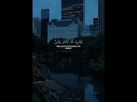 يهدى الله لنوره من يشاء ويضرب الله الامثل للناس والله بكل شئ عليم
