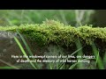 Poetry Film Wainsgate Anne Caldwell Lewis Landini Inspired By Dancer Inari Hulkkonen Poetry Film Wainsgate Anne Caldwell Lewis Landini Inspired By Dancer Inari Hulkkonen