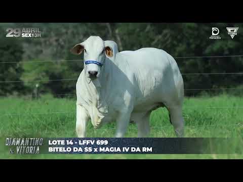 LOTE 14   LFFV 699